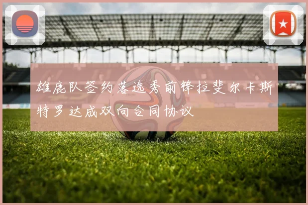 雄鹿队签约落选秀前锋拉斐尔卡斯特罗达成双向合同协议